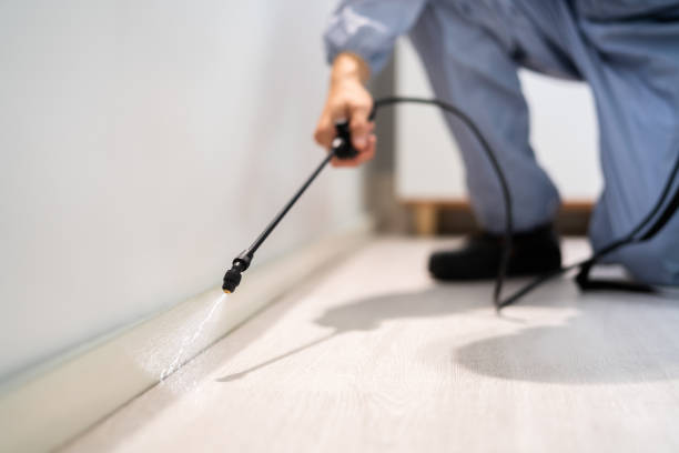 Bed Bug Pre-Treatment Preparation Assessment in Southwood Acres