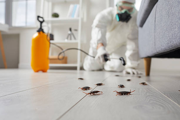Post-Treatment Bed Bug Interceptor Monitoring in Southwood Acres