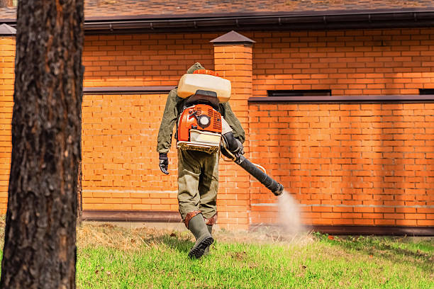 Bed Bug Clearance Verification and Documentation in Southwood Acres